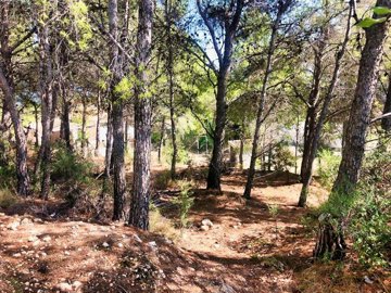 terrenoenaltea4