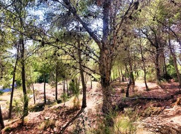 terrenoenaltea7