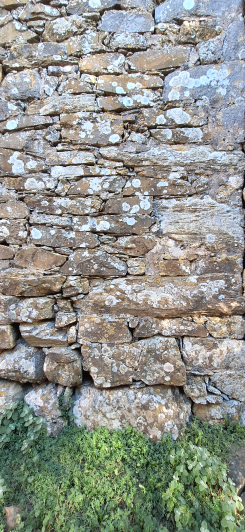 Image No.5-Maison de campagne de 5 chambres à vendre à Mani Kiparissos