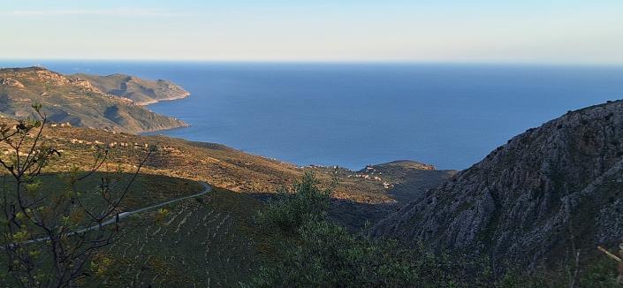 Image No.32-Maison de campagne de 5 chambres à vendre à Mani Kiparissos