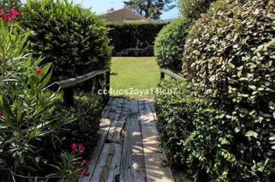 r4951987-image-11
