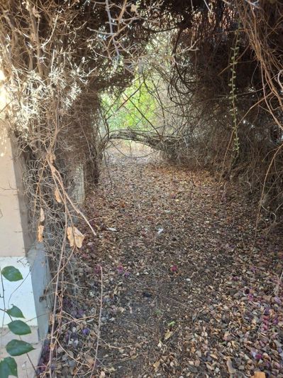 Image No.12-5 Bed House for sale