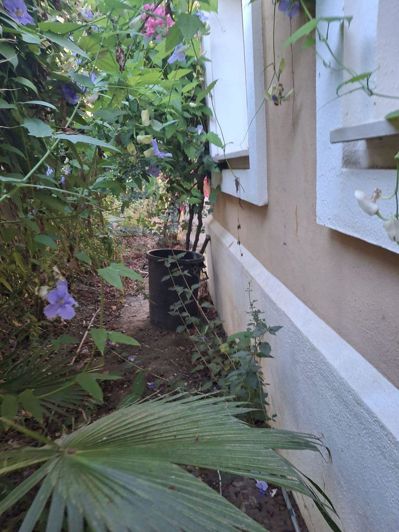 Image No.14-5 Bed House for sale