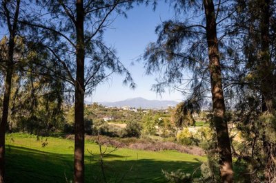 r4950034-destination-marbella-image-4