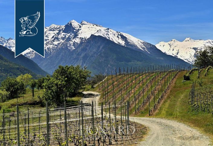 Image No.14-16 Bed Farmhouse for sale