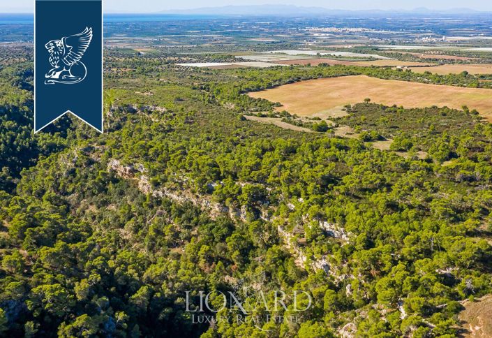 Image No.40-12 Bed Country House for sale