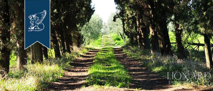 Image No.5-5 Bed Country House for sale