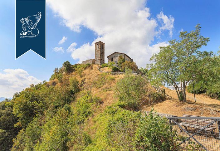 Image No.7-20 Bed Property for sale