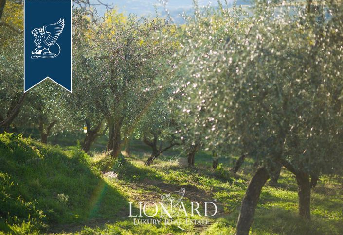 Image No.14-7 Bed Farmhouse for sale