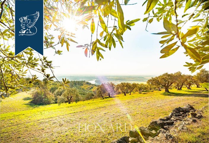 Image No.75-5 Bed Villa for sale