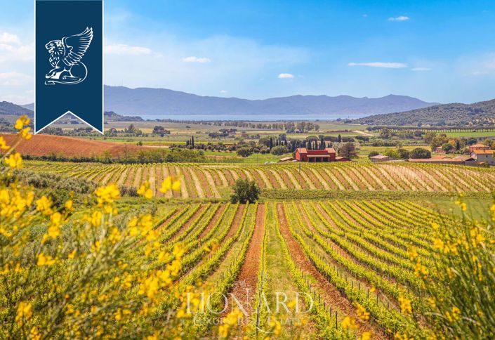 Image No.19-9 Bed Farmhouse for sale