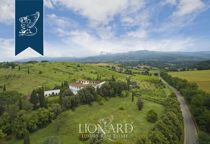 Image No.6-19 Bed Villa for sale