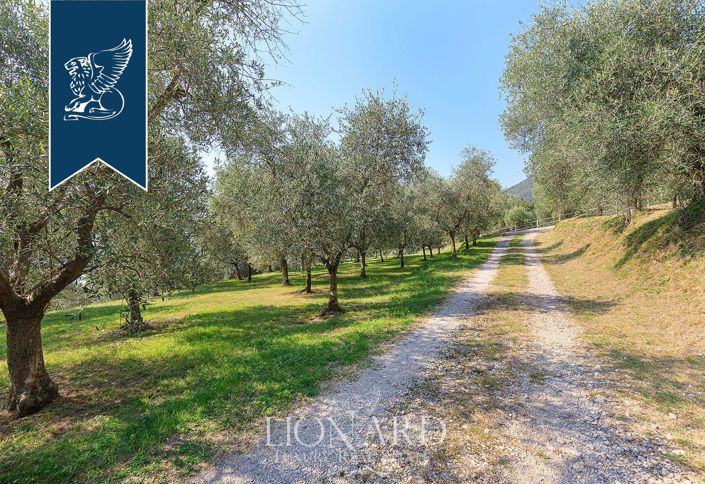 Image No.47-11 Bed Villa for sale