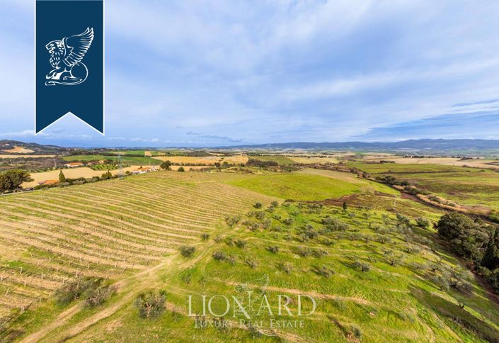 Image No.5-Ferme de 140 chambres à vendre à Rosignano Marittimo