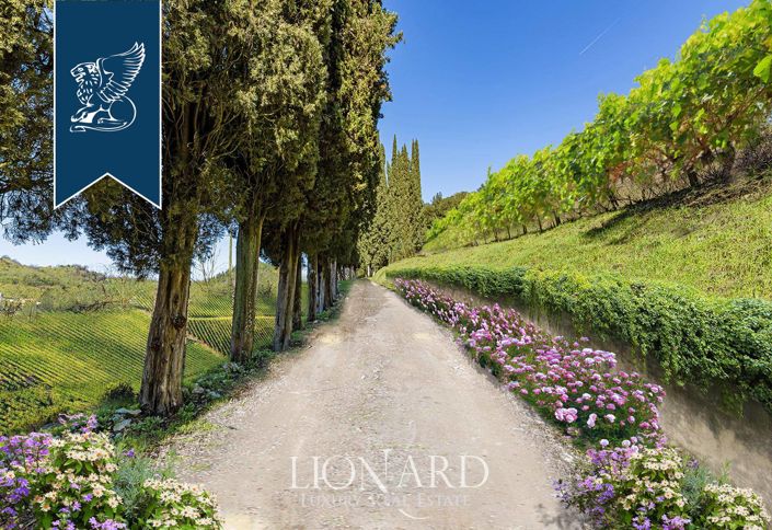 Image No.12-9 Bed Villa for sale