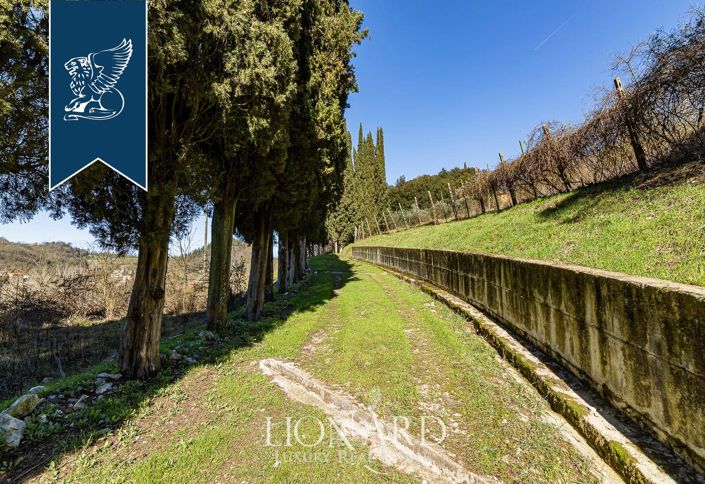 Image No.13-9 Bed Villa for sale