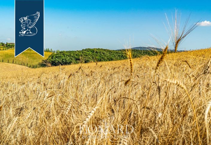 Image No.46-Ferme de 20 chambres à vendre à Collesalvetti