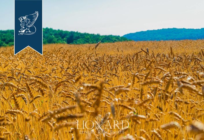 Image No.47-Ferme de 20 chambres à vendre à Collesalvetti