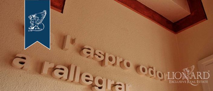 Image No.28-9 Bed Country House for sale