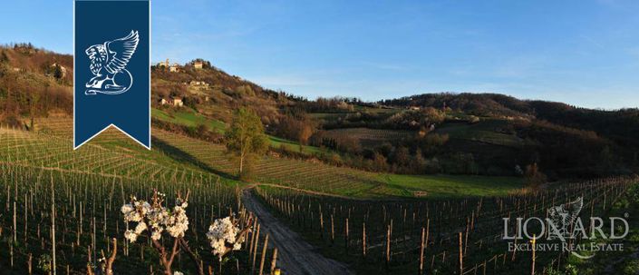 Image No.34-9 Bed Country House for sale