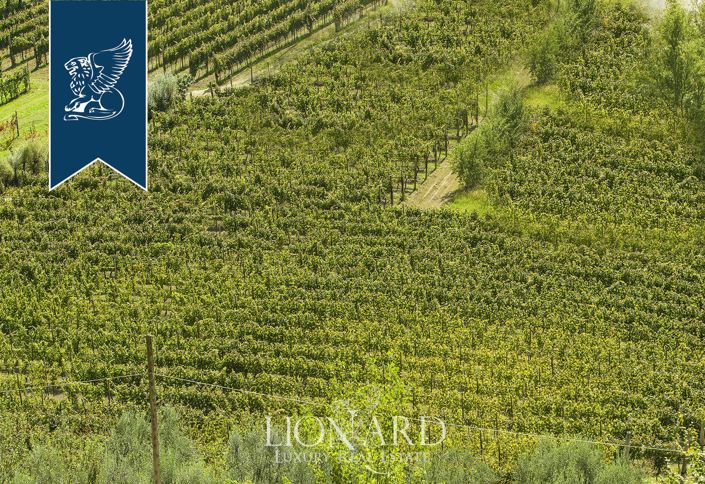 Image No.74-5 Bed Farmhouse for sale