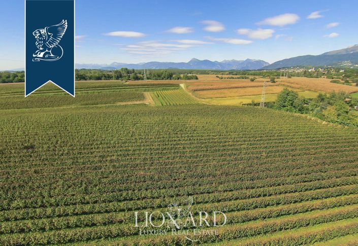 Image No.76-5 Bed Farmhouse for sale