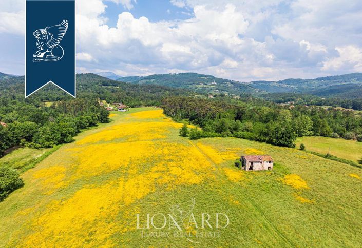 Image No.8-Ferme de 30 chambres à vendre à Lucca