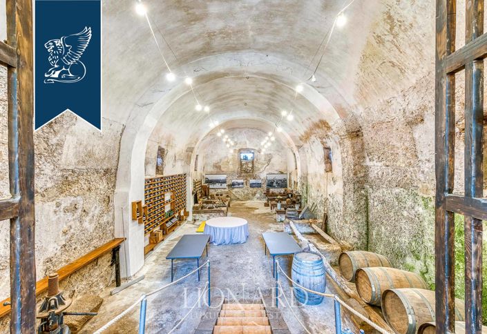 Image No.29-20 Bed Farmhouse for sale