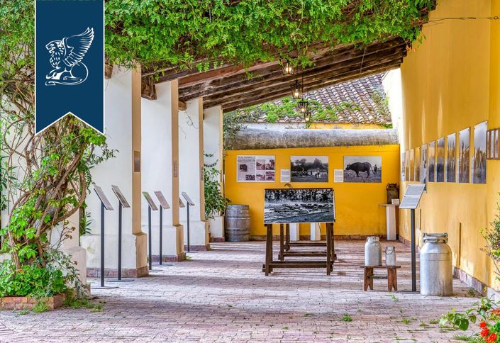 Image No.7-20 Bed Farmhouse for sale