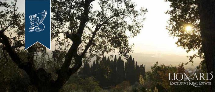 Image No.5-8 Bed Villa for sale