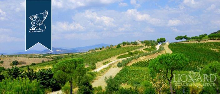 Image No.6-16 Bed Villa for sale