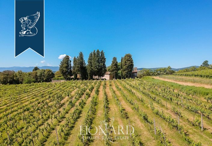 Image No.9-12 Bed Villa for sale