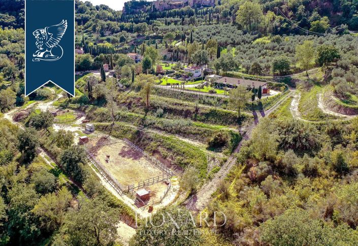 Image No.76-18 Bed Farmhouse for sale