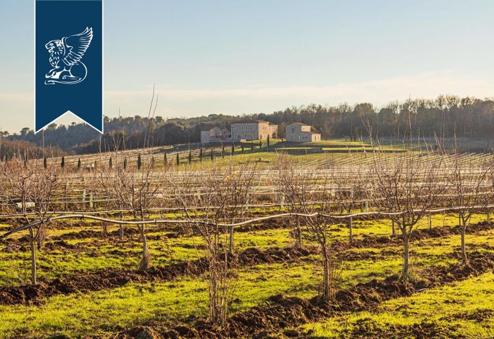 Image No.67-16 Bed Country House for sale