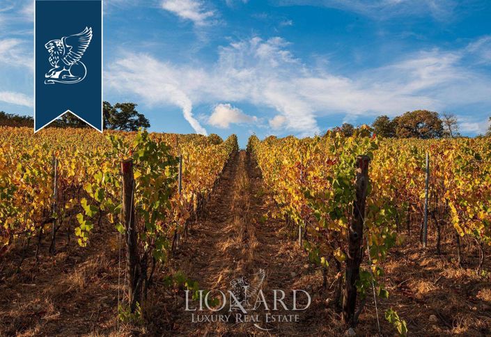 Image No.20-Un hôtel de 19 chambres à vendre à Campiglia Marittima