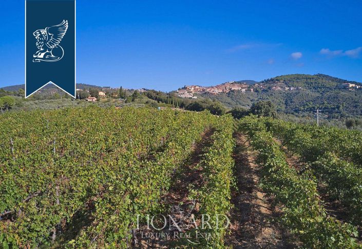 Image No.4-Un hôtel de 19 chambres à vendre à Campiglia Marittima