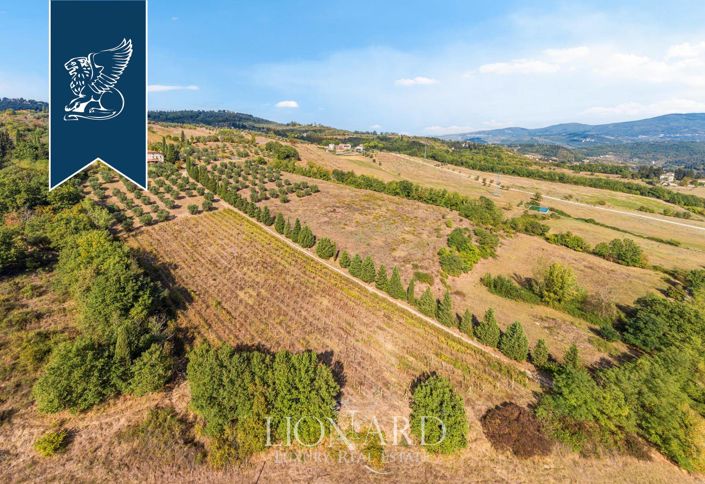 Image No.45-11 Bed Farmhouse for sale