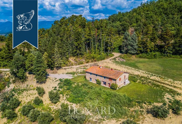 Image No.25-35 Bed Farmhouse for sale