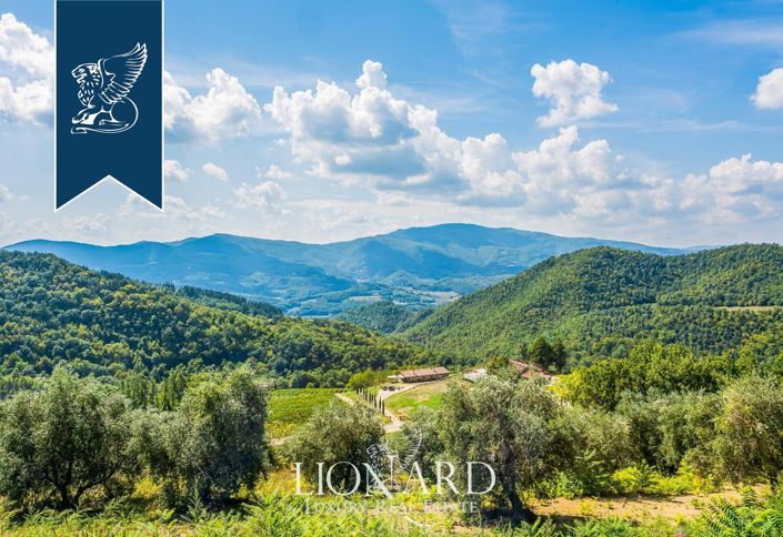 Image No.61-35 Bed Farmhouse for sale