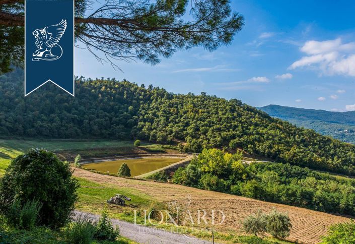 Image No.62-35 Bed Farmhouse for sale