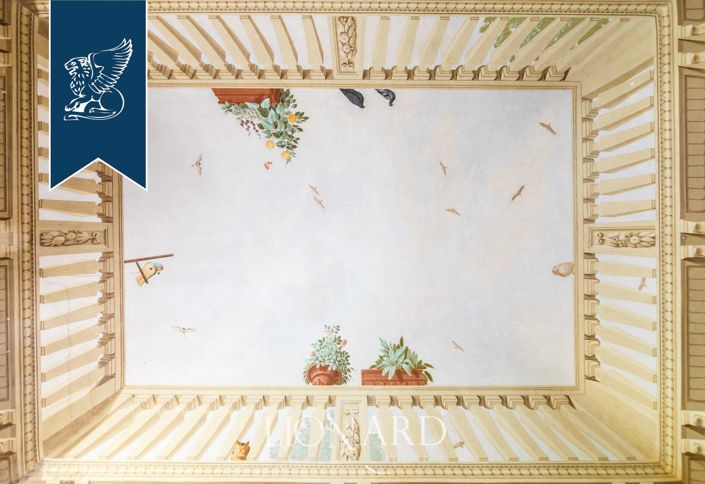 Image No.55-25 Bed Villa for sale