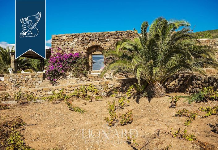 Image No.8-Ferme de 14 chambres à vendre à Pantelleria