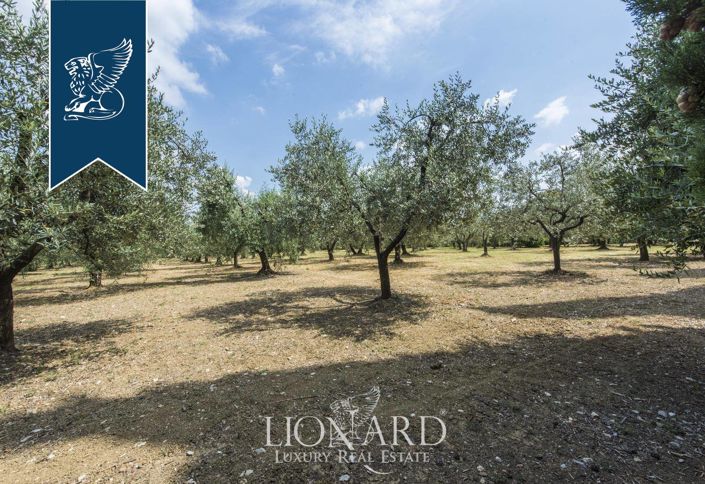 Image No.9-9 Bed Villa for sale