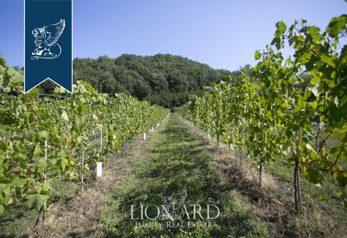 Image No.19-9 Bed Farmhouse for sale