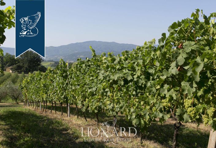 Image No.24-9 Bed Farmhouse for sale