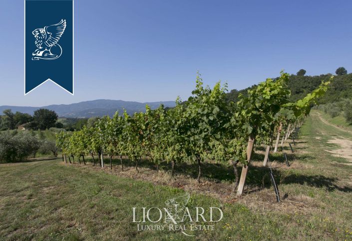 Image No.25-9 Bed Farmhouse for sale