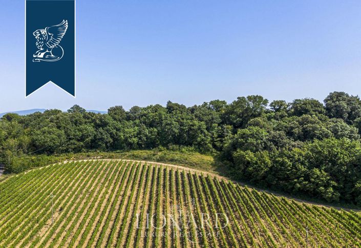 Image No.5-21 Bed Villa for sale