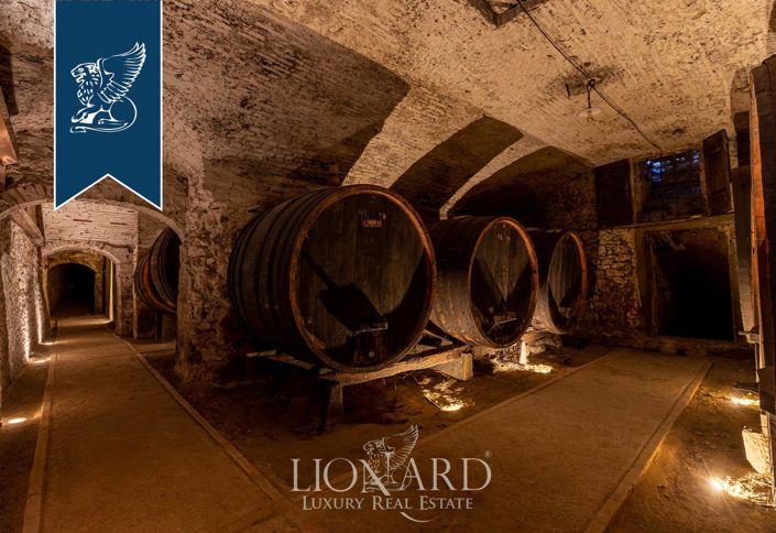 Image No.117-50 Bed Farmhouse for sale