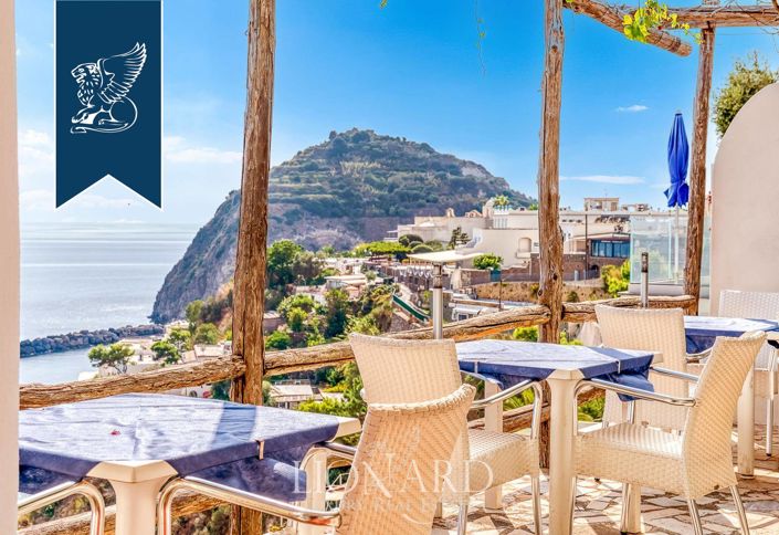 Image No.8-Un hôtel de 9 chambres à vendre à Naples