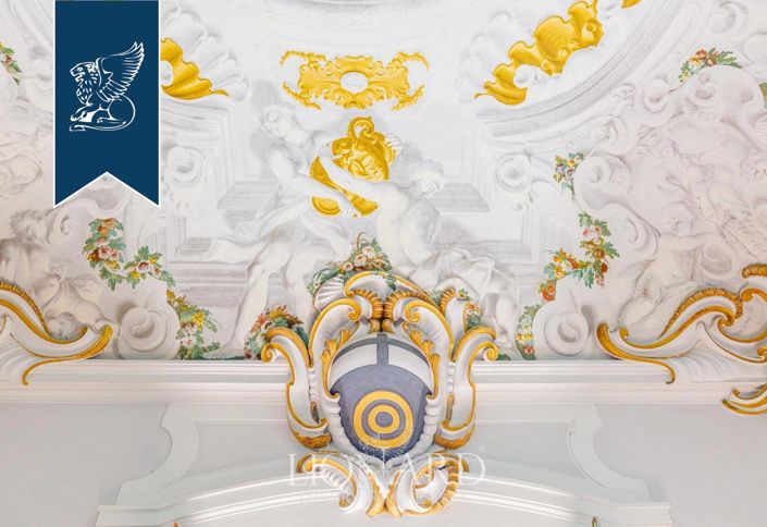 Image No.19-10 Bed Villa for sale